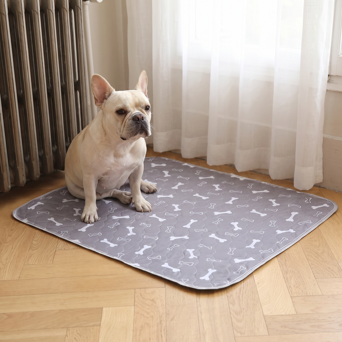 Un bouledogue français assis sur le tapis éducateur lavable.